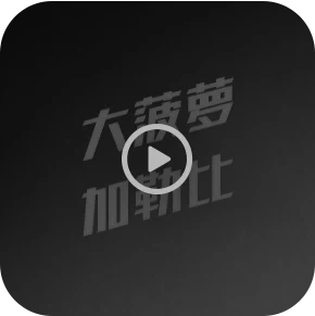 HH扑克中文之家资料聚合页面